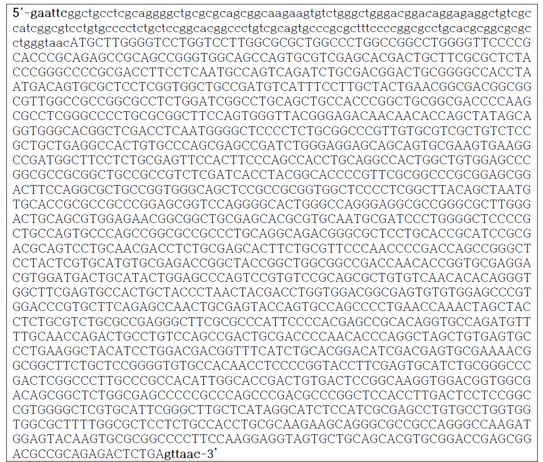 TBM cDNA의 염기서열 5‘에 EcoR I 제한효소 인식서열을 3’에 Hpa I 제한효소 인식서열을 삽입. 단백질로 번역되는 염기서열은 대문자로 표시함. ATG 코돈 앞쪽에 Kozak 염기서열을 첨가