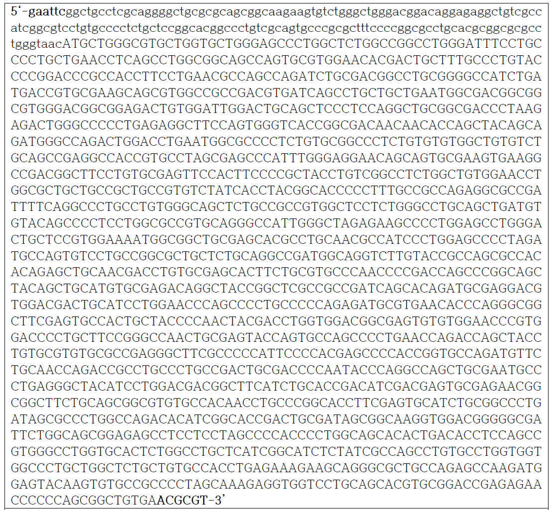 코돈 최적화된 TBM cDNA의 염기서열 5‘에 EcoR I 제한효소 인식서열을 3’에 Mlu I 제한효소 인식서열을 삽입. 단백질로 번역되는 염기서열은 대문자로 표시함. ATG 코돈 앞쪽에 Kozak 염기서열을 첨가