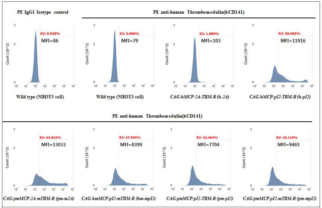 NIH3T3에 도입된 발현 벡터로부터 TBM 발현의 유세포 분석