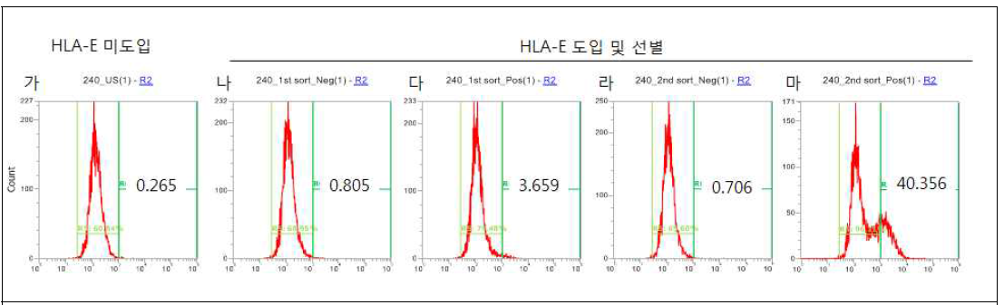 GalT-/- 세포주에 HLA-E 발현 벡터가 도입된 세포 선별 후 HLA-E 발현 분석 가. 유전자가 도입되지 않은 세포. 나, 다. 1차 선별과정에서 유전자 도입 후 유전자가 도입되지 않은 세포군(나)과 도입된 세포군(다). 라, 마. 1차 선별과정에서 유전자 도입 후 유전자가 도입되지 않은 세포군(라)과 도입된 세포군(마)