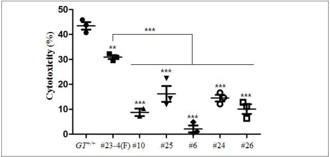 MCP/TBM 발현 벡터가 도입된 GalT-MCP/-MCP 23-4(F) 유래 세포 단일 클론의 원숭이 혈청에 의한 거부반응 억제 능력 CAG-pmMCP-2A-mTBM 도입 단일 클론 #10과 #25 및 CAG-pmMCP-pI2-TBM-R 단일 클론 #6, #24, #26 세포에 원숭이 혈청을 첨가하여 세포에 독성 효과를 분석. 모든 클론은 일반돼지(GalT+/+) 및 GalT-MCP/-MCP 23-4(F) 세포보다 유의적으로(***P < 0.001) 세포 사멸이 감소. **P<0.01