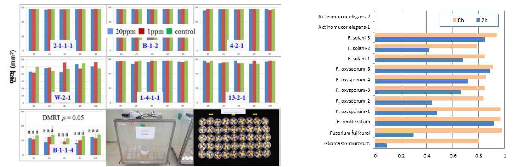 오존 플라즈마 처리시간별 균사생장정도(좌) 및 오존플라즈마 처리시간별 발아억제 (방제가)(우)