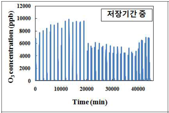 처리 중 저장고 내 오존 농도 조사 결과