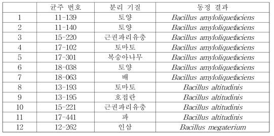 기 보유 Bacillus spp. 12균주의 동정 결과