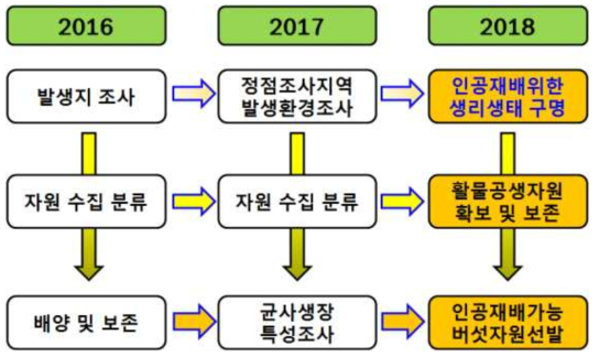 연구추진체계