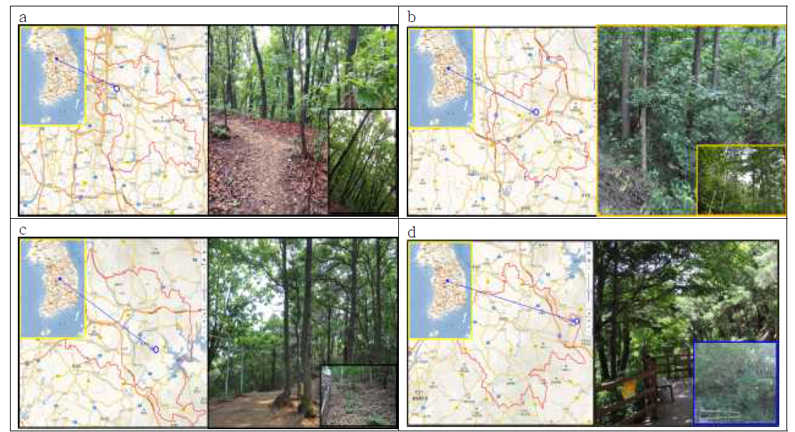 Location and botanical statue of wild mushroom research area (a:Yongin, b:Eumseong, c:Chungju)