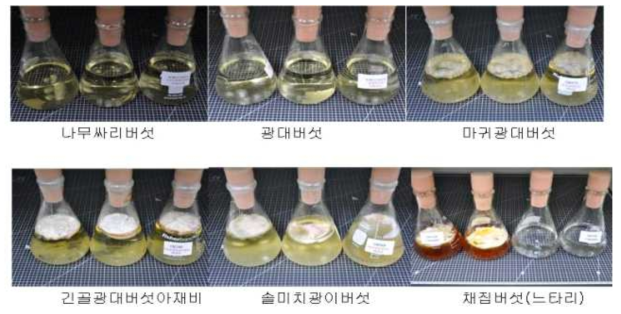 활물공생버섯류의 액체배양 가능성 평가