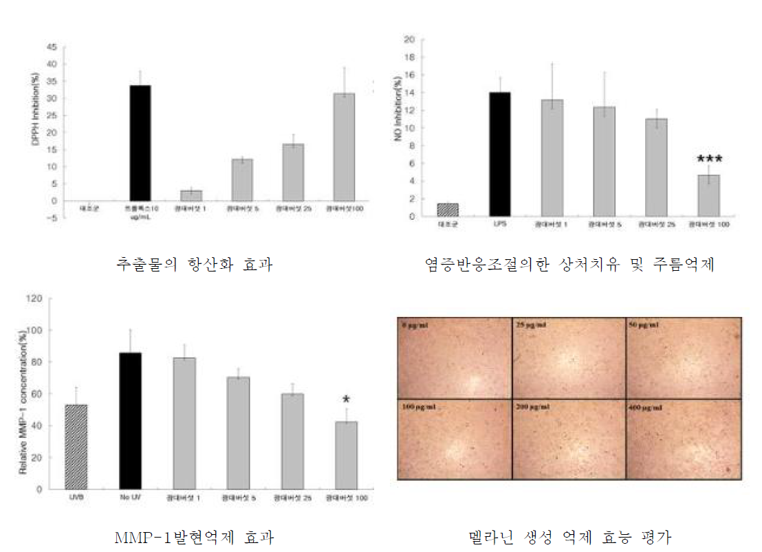 흰가시광대버섯 추출물의 효능 평가