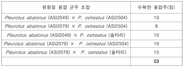 느타리류 균주 조합별 최종 선발된 원형질 융합주 (2016∼2017)