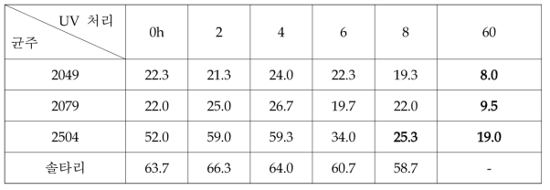 UV처리별 느타리류의 균사생장 정도(7일/PDA)