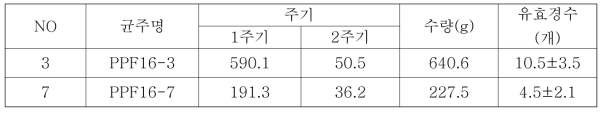 톱밥 봉지재배 시 버섯 자실체 수량 및 주요특성