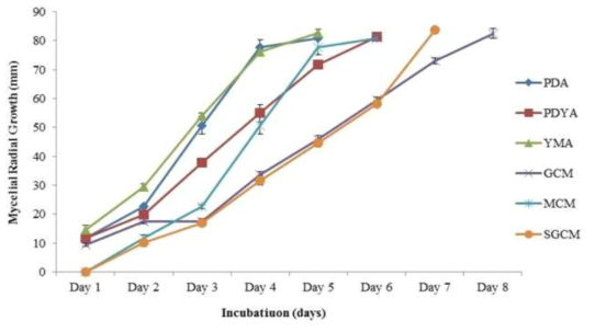 배지종류별 G. applanatum (Brazil-7147)의 균사생장(28°C 배양)