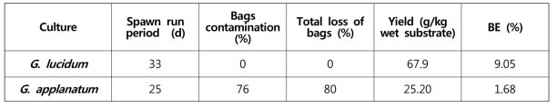 영지버섯류 종균 접종 후 균배양기간 및 자실체 수량