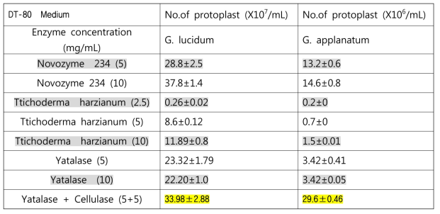 G. lucidum와 G. applanatum.의 원형질체 분리를 위한 상업 효소의 효과