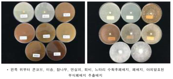 배지종류에 따른 풀버섯 ‘KMCC04380’ 균주의 균사생장정도 2