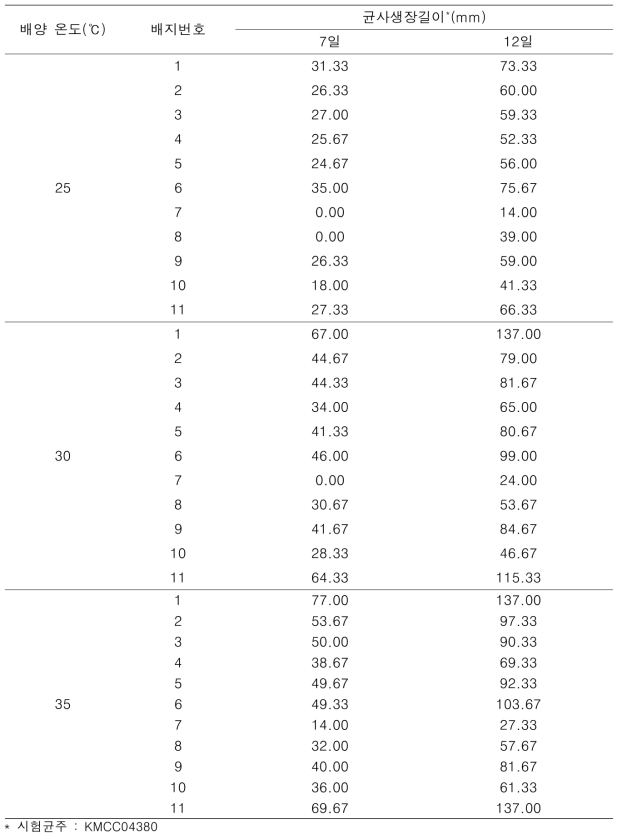 ‘KMCC04380’의 배양온도별 column테스트 결과 균사생장길이
