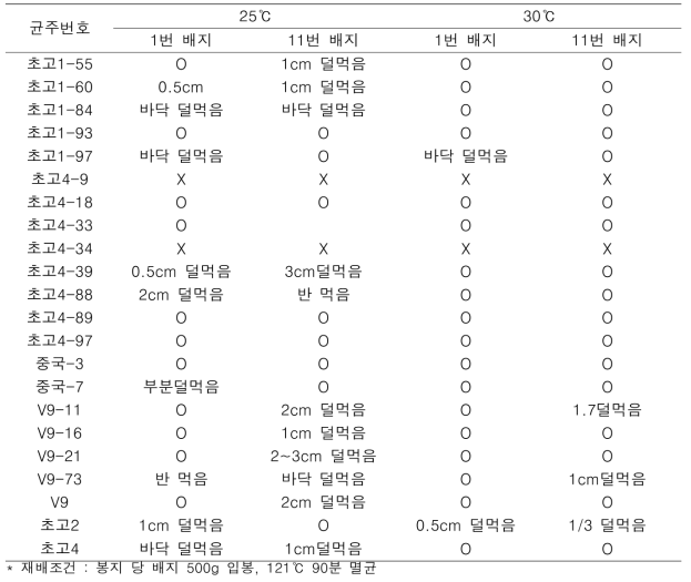 선발계통의 2가지 배지조합별 균사배양정도