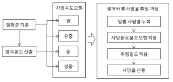 사망률 계산 과정