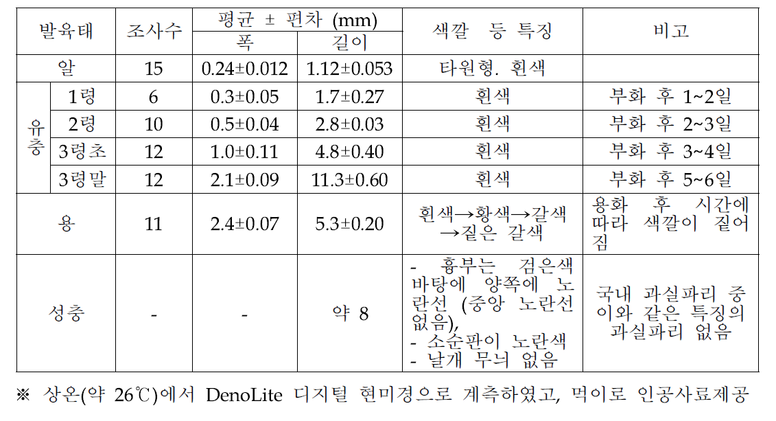 오리엔탈과실파리 크기 및 색깔