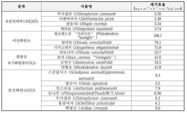 공기중 오염원 제거능력이 뛰어난 식물