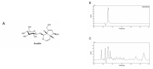 HPLC analysis of EUL extracts. A) Chemical structure of aucubin. Chromatograms for aucubin were analyzed for standard solution B) and for EUL extracts C). EUL, Eucommia ulmoides leaf