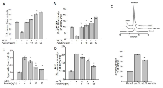 Aucubin regulates oxLDL-induced ROS production, affecting levels of NO production. HUVECs were treated with 5, 10, or 25 μg/mL aucubin, and then incubated with 20 μg/mL ox-LDL for another 24 h. A) NO release was analyzed as described in the Materials and Methods. B) Intracellular NO formation was measured via image analysis of the NOsensitive fluorochrome, DAF-2DA. C) Endothelial O2 − production was assessed as described in the Materials and Methods. D) In DHE-staining analysis (another form of O2−analysis), fluorescence was measured as described in the Materials and Methods. The fluorescence distribution of DHE oxidation was quantified as arbitrary units. E) HUVECs were exposed to 20 μg/mL ox-LDL in the presence or absence of 25 μg/mL aucubin for 24 h. Representative chromatograms and retention times of 2-EOH and ethidium from 20 μg/mL ox-LDL in the presence or absence of 25 μg/mL aucubin. The concentration of 2-hydroxyethidium (2-EOH) was determined by an LC–MS detector system. All data are presented as mean ± E from 3 independent experiments. *P < 0.05 vs. ox-LDL for 24 h. EUL, Eucommia ulmoides leaf; HUVECs, human umbilical vein endothelial cells; ox-LDL, oxidized low-density lipoprotein; DHE, dihydroethidium;