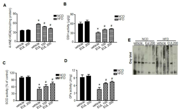 EUL inhibits oxidative stress in hyperlipidemic rats (A) MDA levels in liver was assessed, respectively. GSH (B), SOD(C) , and GPX(D) activity were measured in HFD-treated rats. (E) Expression of oxidized protein in liver tissue lysates was determined by Oxy blot assay. Values are means ± SD. (n = 6, *P < 0.05 vs. NFD-group, #P < 0.05 vs. HFD-group)