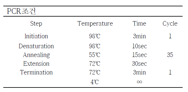 PCR 조건