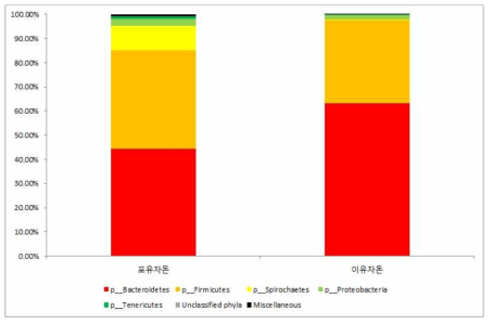 포유 및 이유 자돈 그룹별 Phylum level Taxon