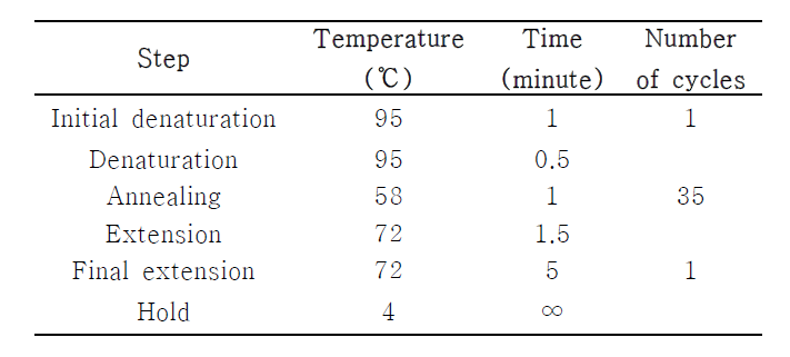 PCR condition