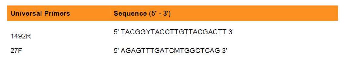 16S rRNA Universal primer(27F, 1492R)