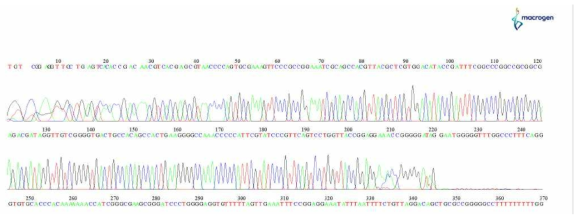 Standard sequencing(Sanger) 완료 후 Fasta file