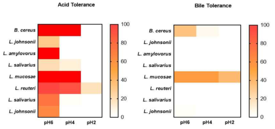 Selective bacteria survives of Acid Tolerance and Bile acid Tolerance