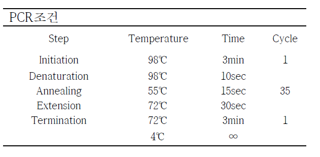 PCR 조건