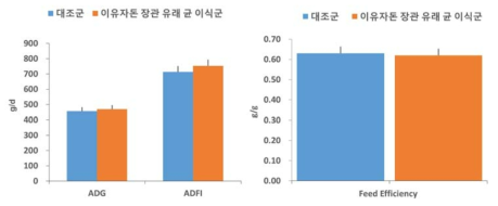 이유자돈 장관유래 미생물총 이식 그룹에 따른 일당증체량 (ADG), 일당사료섭취량 (ADFI) 및 사료효율 (Feed Efficiency)