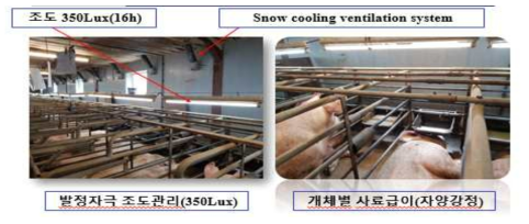 네덜란드 종부사 관리 우수사례