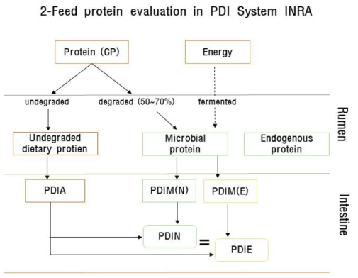 INRA PDI system의 단백질 평가법