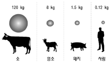 축종별 연간 메탄가스 발생량 비교