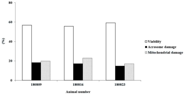 Viability, acrosome damage and mitochondrial damage in frozen-thawed spermatozoa in black goat