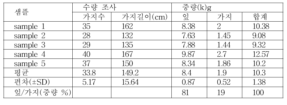 누에뽕의 가지와 잎의 구성