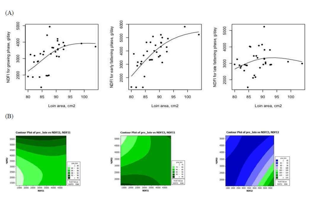 Relationship between the predicted neutral detergent fiber (NDF) intakes at growth stages and loin area (cm2) from Hanwoo steers. (A) NDF intake response according to loin area; (B) Contour plot for the interaction of crude protein intakes in different growth stage on loin area
