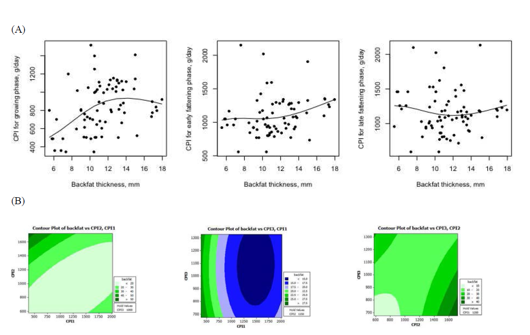 Relationship between the predicted crude protein (CP) intakes at growth stages and backfat thickness (mm) from Hanwoo steers. (A) CP intake response according to backfat thickness; (B) Contour plot for the interaction of crude protein intakes in different growth stage on backfat thickness