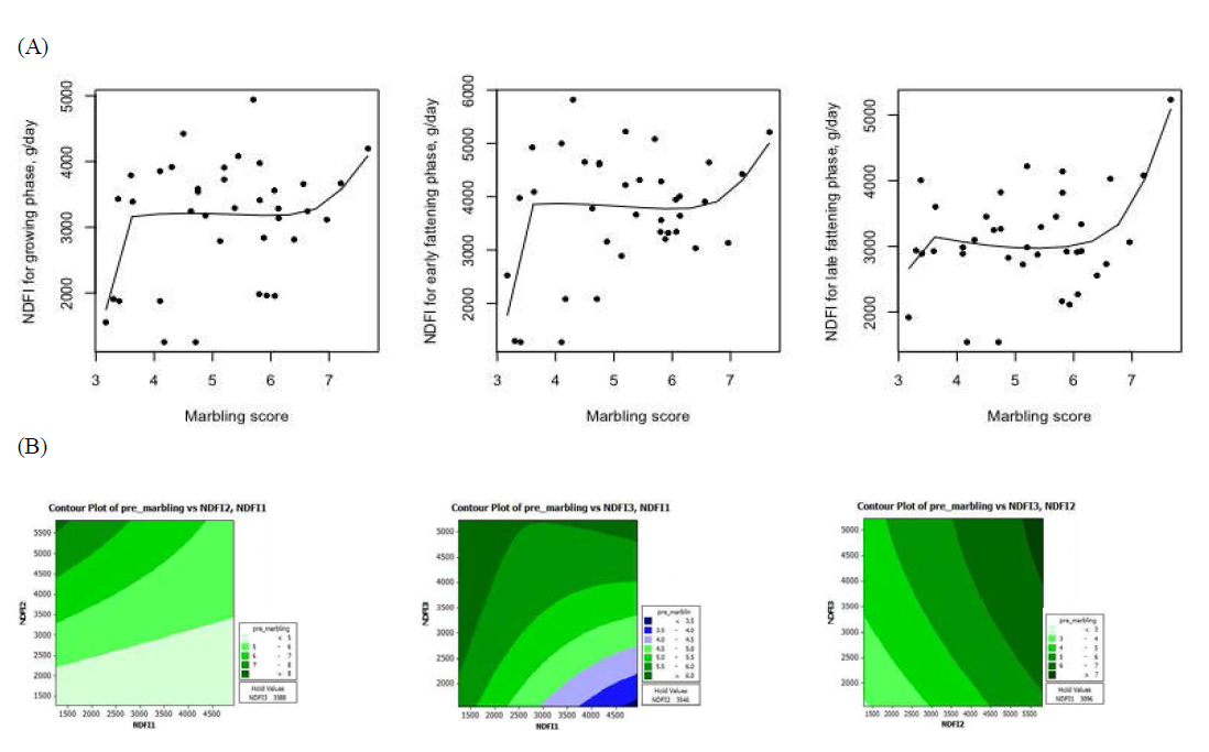 Relationship between the predicted neutral detergent fiber (NDF) intakes at growth stages and marbling score from Hanwoo steers. (A) NDF intake response according to marbling score; (B) Contour plot for the interaction of crude protein intakes in different growth stage on marbling score