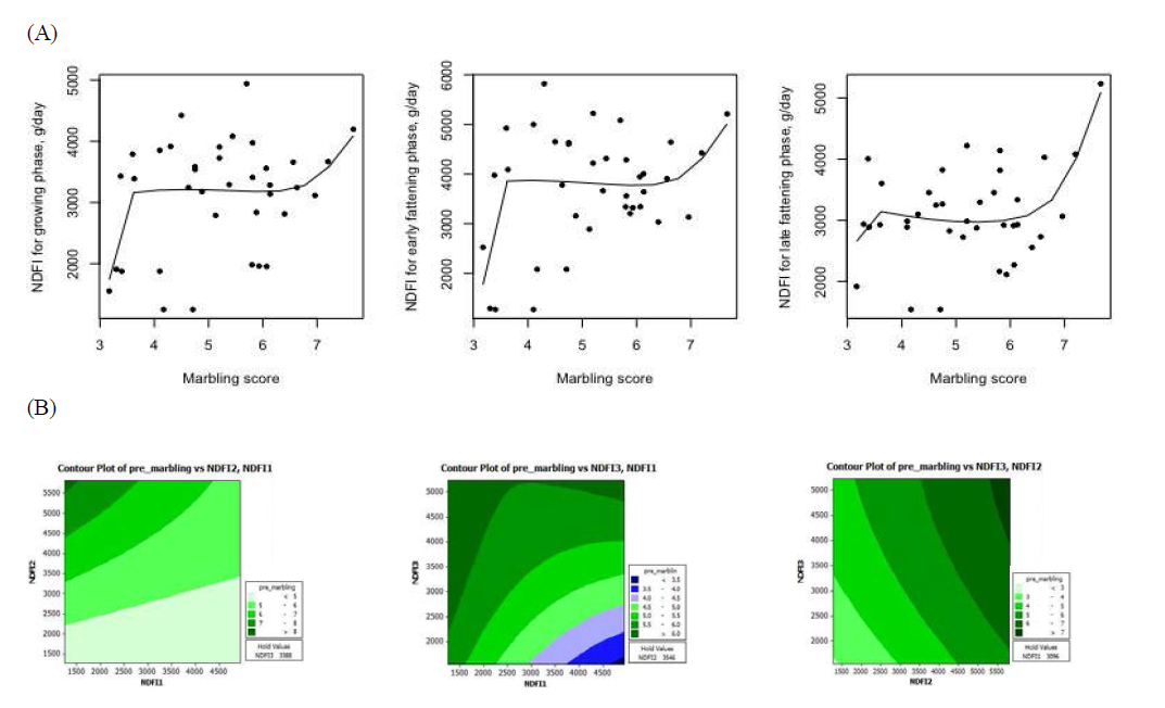 Relationship between the predicted neutral detergent fiber (NDF) intakes at growth stages and marbling score from Hanwoo steers. (A) NDF intake response according to marbling score; (B) Contour plot for the interaction of crude protein intakes in different growth stage on marbling score