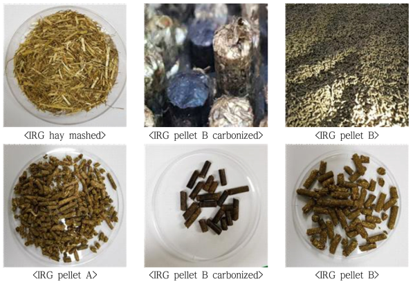 Exterior appearance of Italian ryegrass products by pellet processing