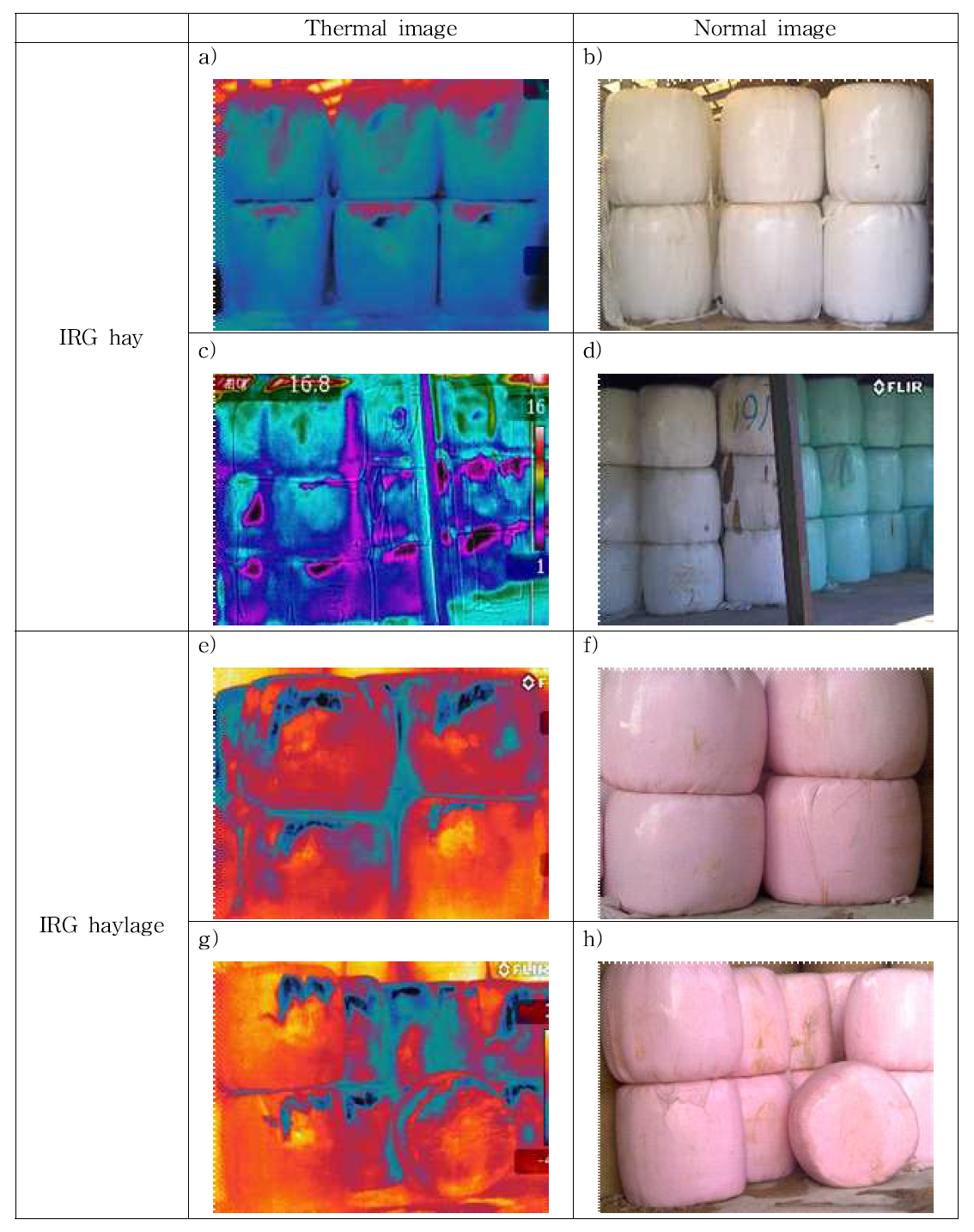 Comparison of thermal images between Italian ryegrass hay and haylage during winter season