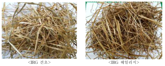 Exterior appearance of Italian ryegrass hay and haylage on the 60th day after processing