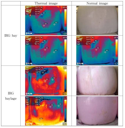 Comparison of thermal images between Italian ryegrass hay and haylage during winter season