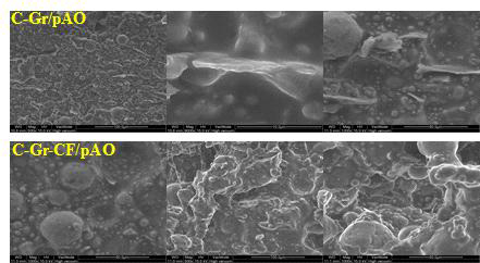 C-Gr-B/pAO SEM 분석