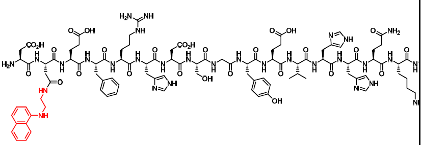 실험에 이용된 베타아밀로이드 펩타이드 I 구조 (21개의 아미노산)